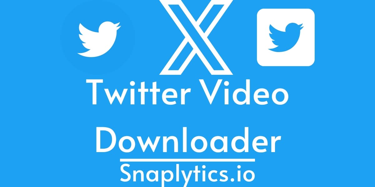 Twitter Video Downloader