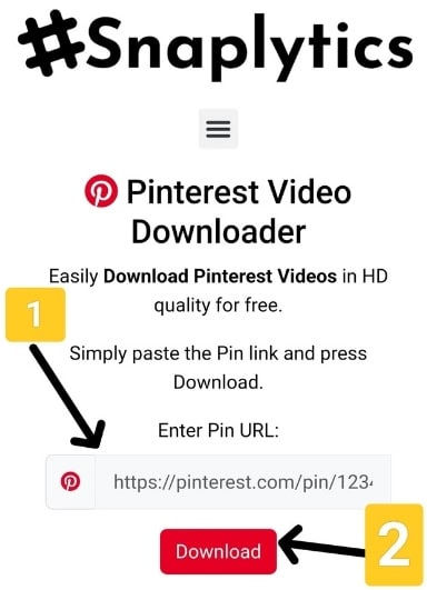 how-to-download-pinterest-video-step-2