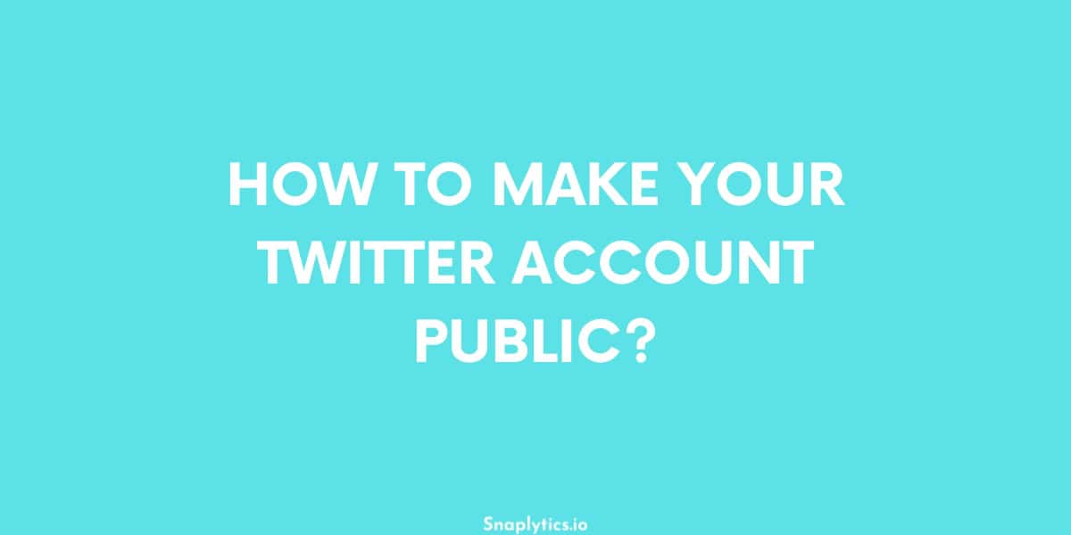 how-to-make-your-twitter-account-public