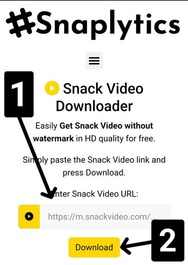 snack-video-downloader-step-2