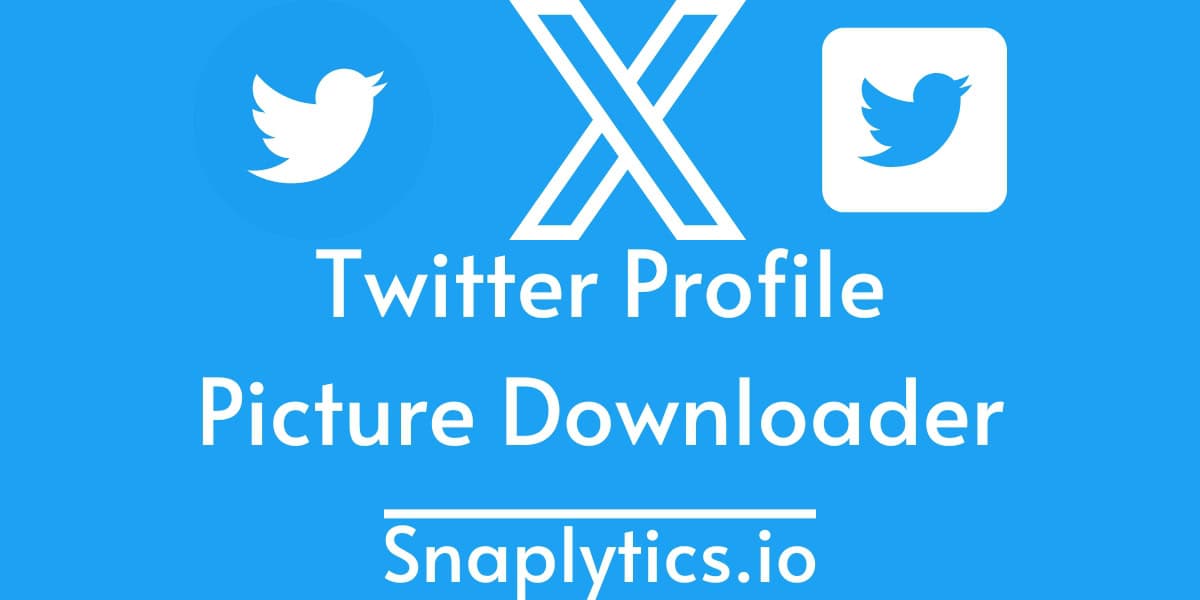 Twitter Profile Picture Downloader