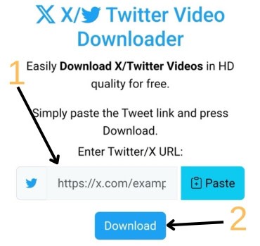 how-to-download-twitter-video-step-2