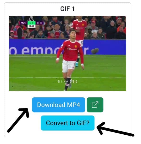 how-to-download-twitter-gif-step-3