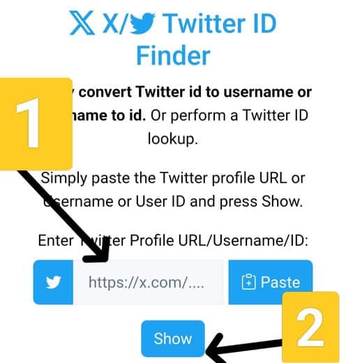 Passo 2: Incolla l'username/ID